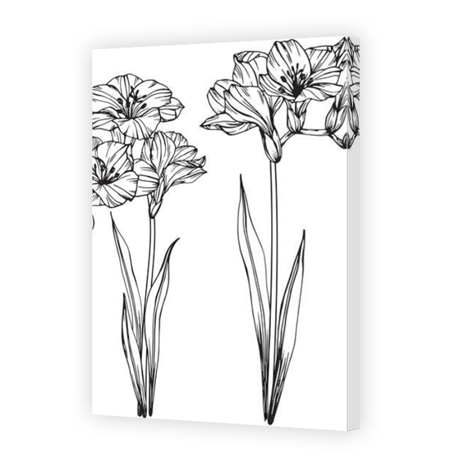 Thumbnail for Canvas - Mirror Image Canvas Wrap