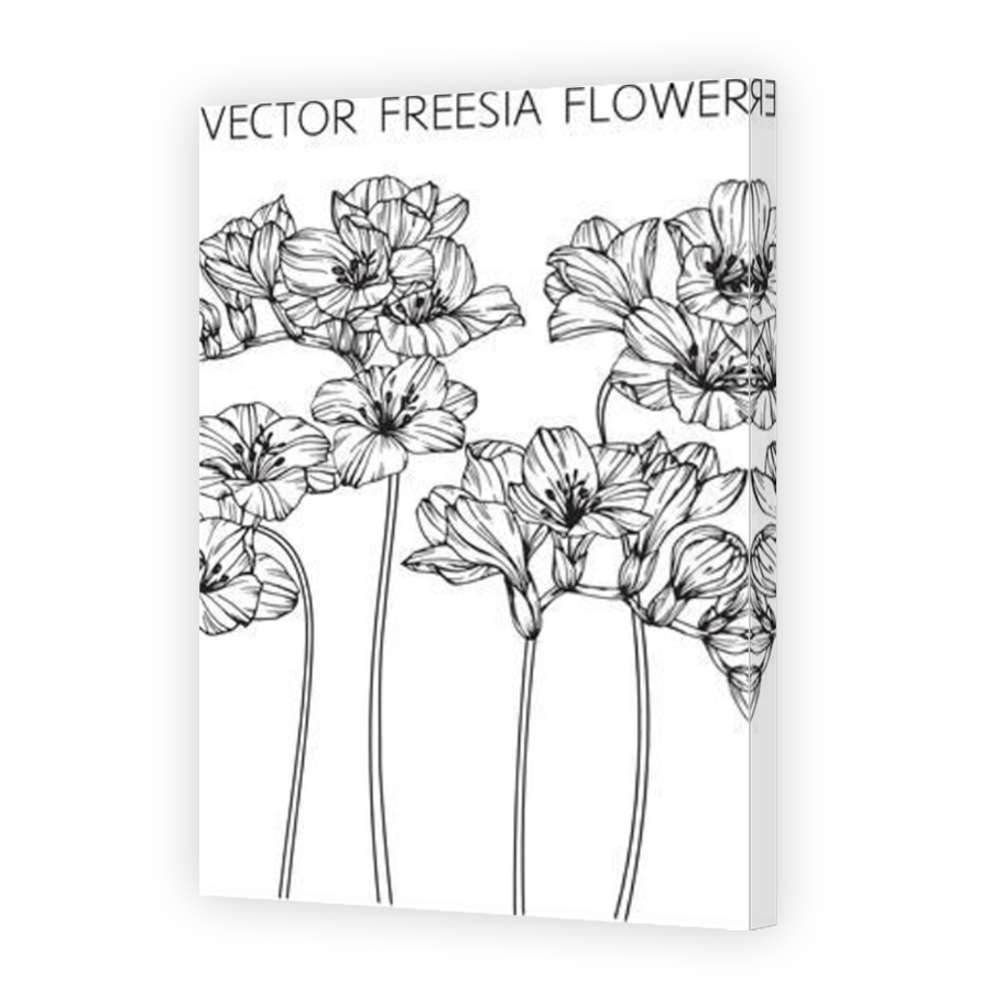 Thumbnail for Canvas - Mirror Image Canvas Wrap