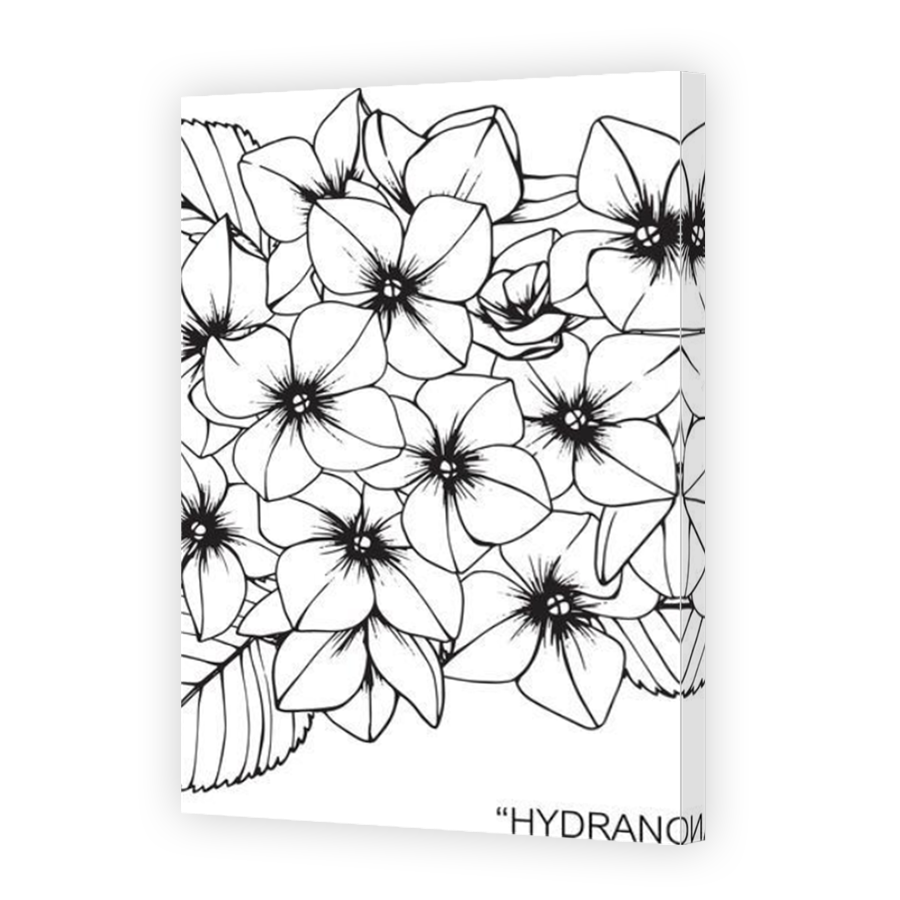 Thumbnail for Canvas - Mirror Image Canvas Wrap