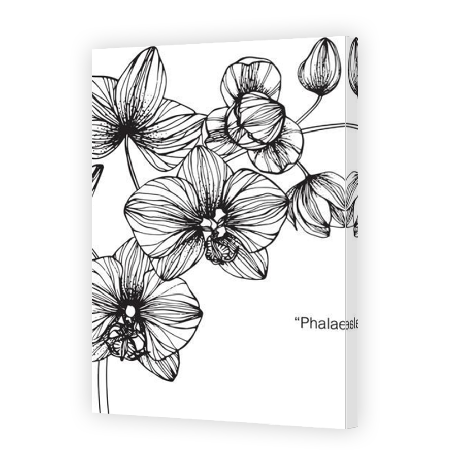 Thumbnail for Canvas - Mirror Image Canvas Wrap