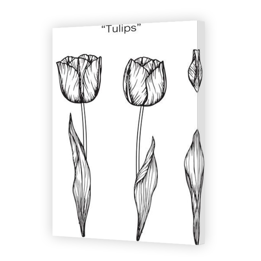 Thumbnail for Canvas - Mirror Image Canvas Wrap