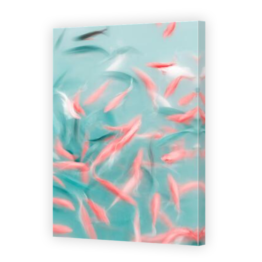 Thumbnail for Canvas - Mirror Image Canvas Wrap