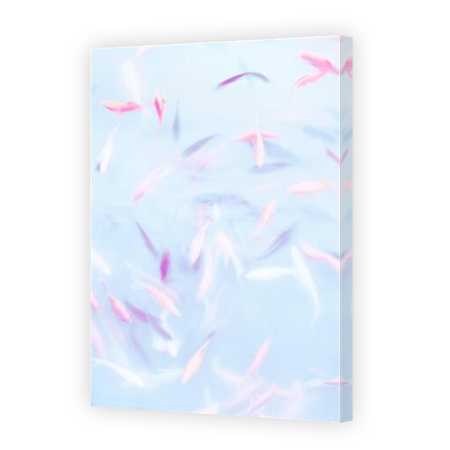 Thumbnail for Canvas - Mirror Image Canvas Wrap