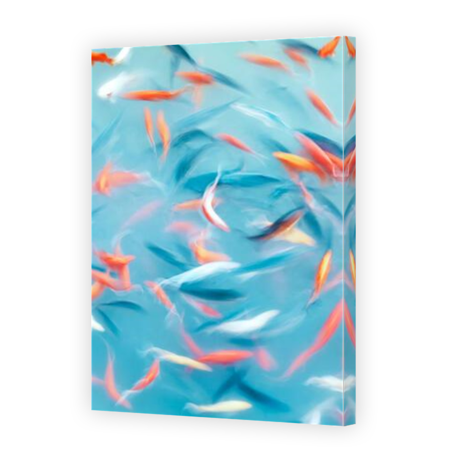 Thumbnail for Canvas - Mirror Image Canvas Wrap