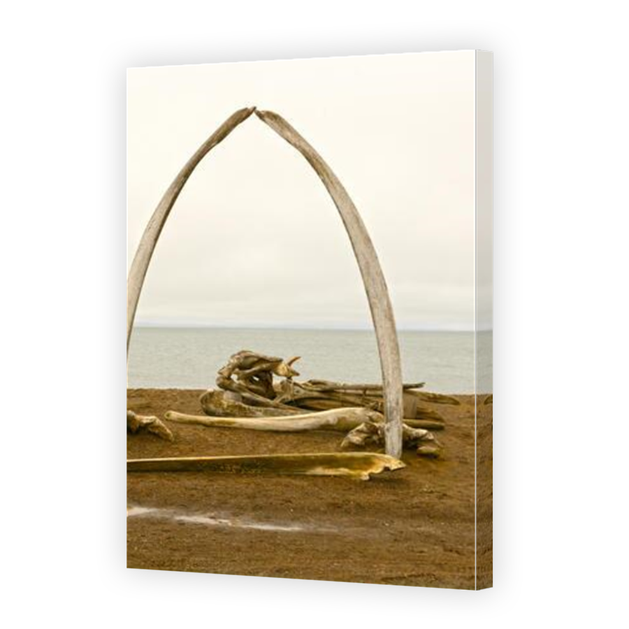 Thumbnail for Canvas - Mirror Image Canvas Wrap