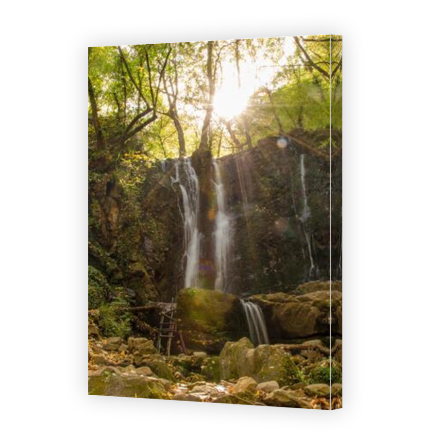 Thumbnail for Canvas - Mirror Image Canvas Wrap