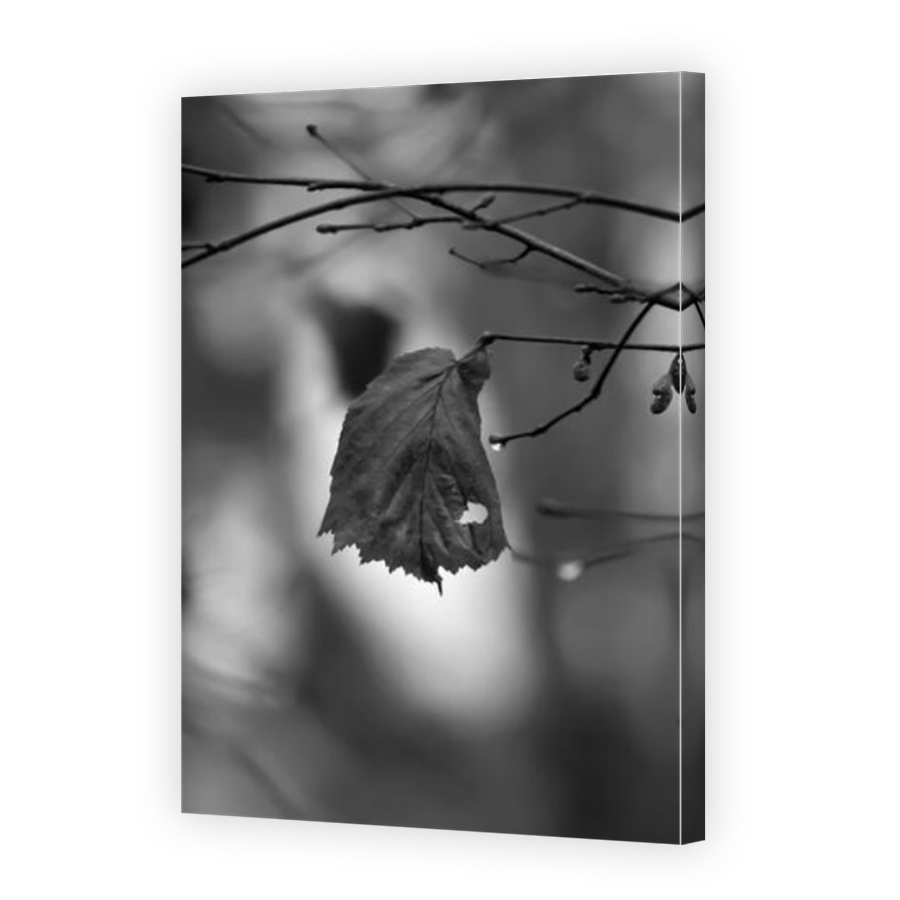 Thumbnail for Canvas - Mirror Image Canvas Wrap