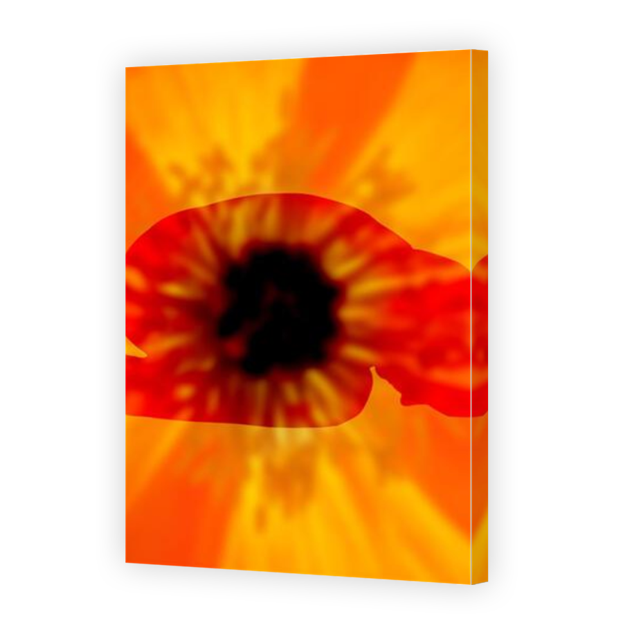 Thumbnail for Canvas - Mirror Image Canvas Wrap