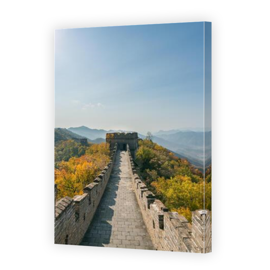 Thumbnail for Canvas - Mirror Image Canvas Wrap