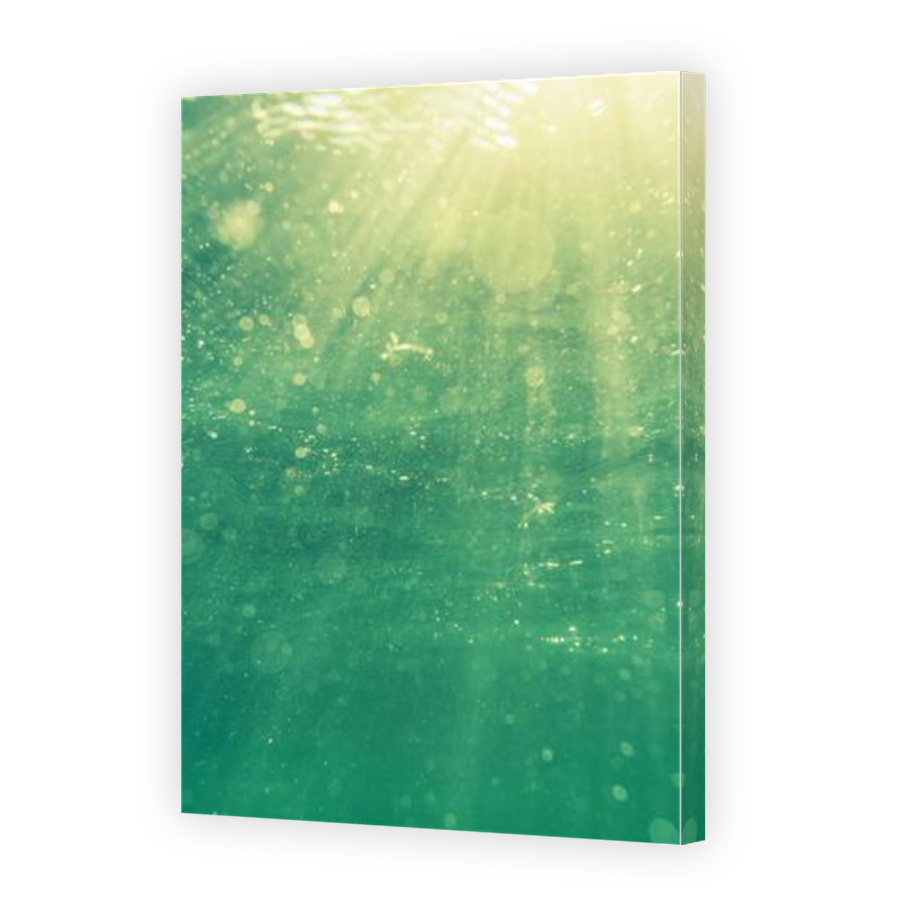 Thumbnail for Canvas - Mirror Image Canvas Wrap