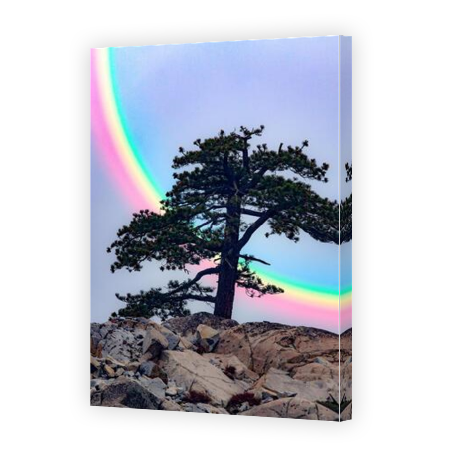 Thumbnail for Canvas - Mirror Image Canvas Wrap