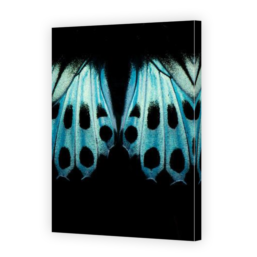 Thumbnail for Canvas - Mirror Image Canvas Wrap