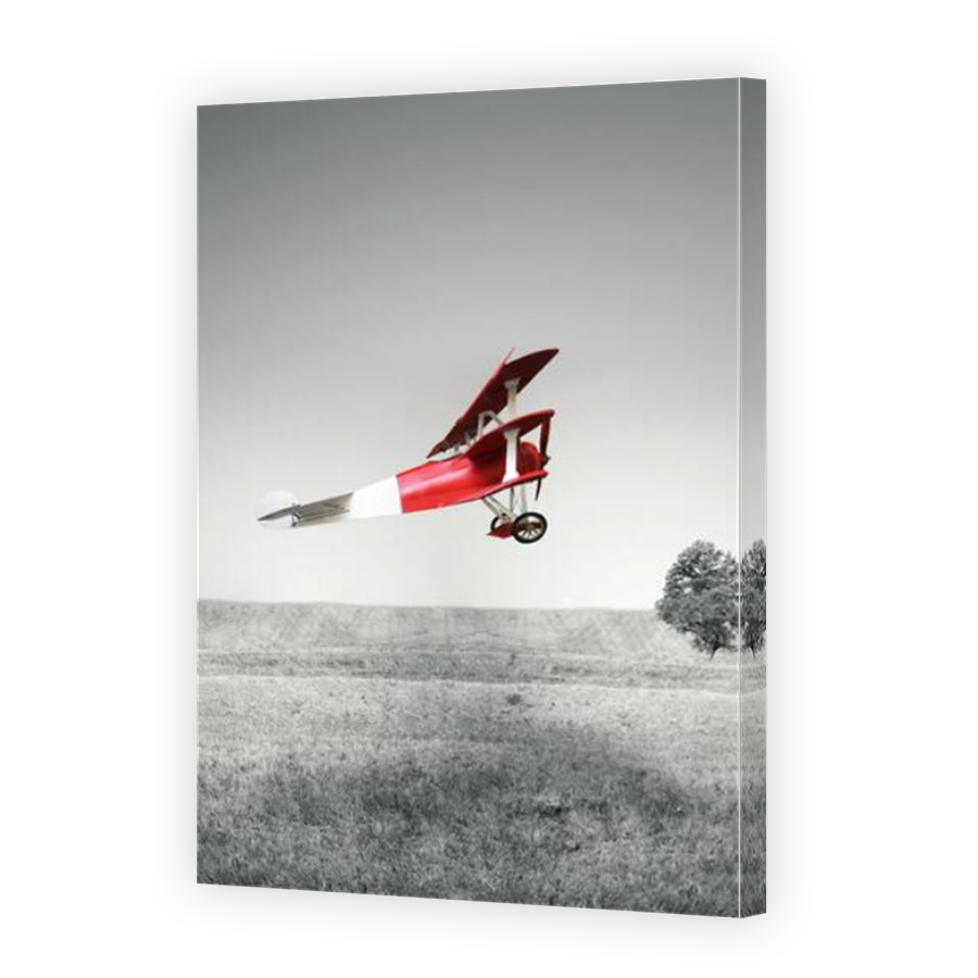 Thumbnail for Canvas - Mirror Image Canvas Wrap