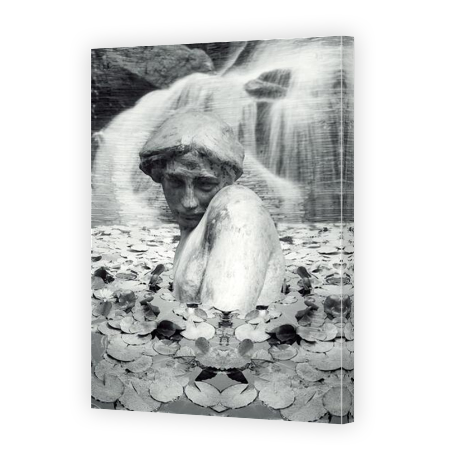 Thumbnail for Canvas - Mirror Image Canvas Wrap