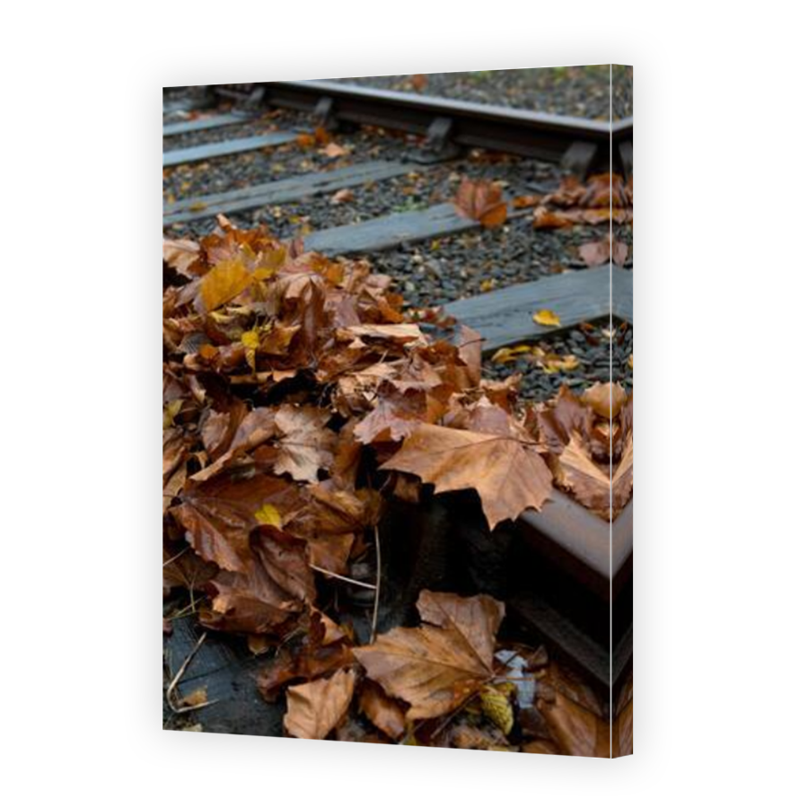 Thumbnail for Canvas - Mirror Image Canvas Wrap