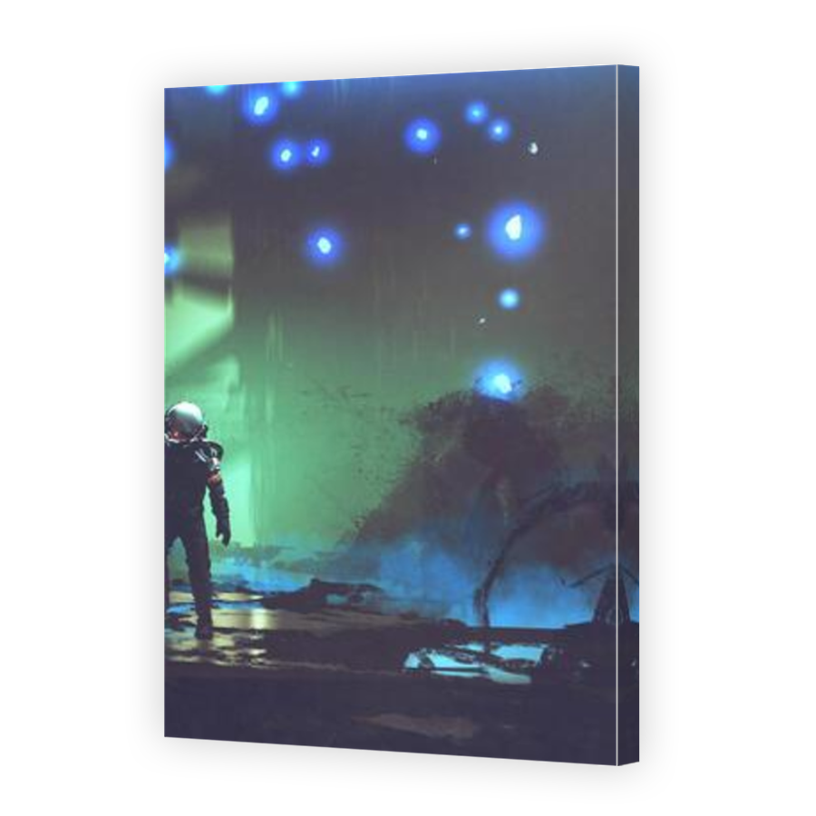 Thumbnail for Canvas - Mirror Image Canvas Wrap