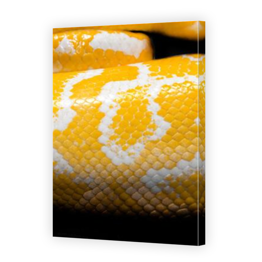 Thumbnail for Canvas - Mirror Image Canvas Wrap