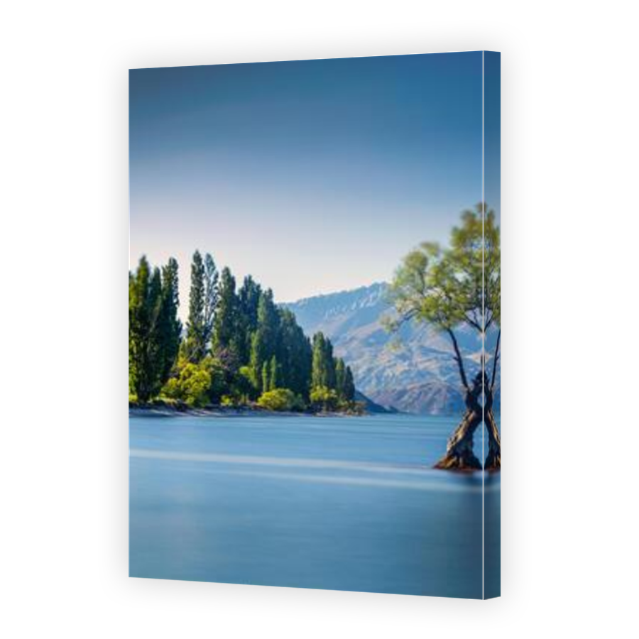 Thumbnail for Canvas - Mirror Image Canvas Wrap