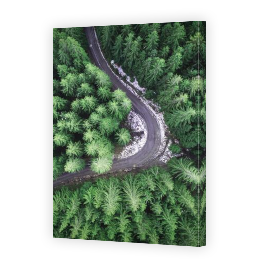Thumbnail for Canvas - Mirror Image Canvas Wrap