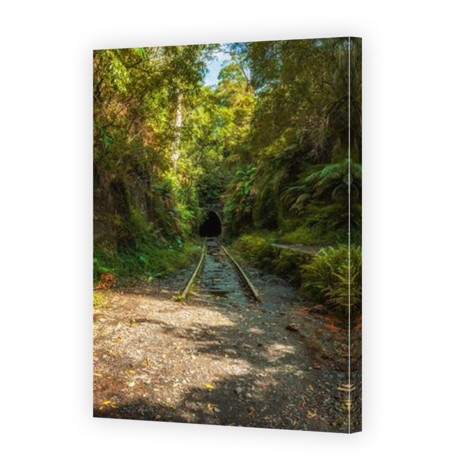 Thumbnail for Canvas - Mirror Image Canvas Wrap