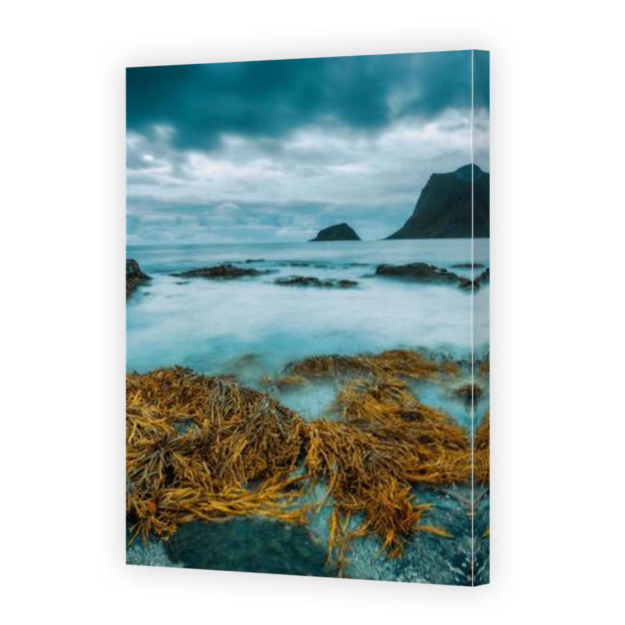 Thumbnail for Canvas - Mirror Image Canvas Wrap