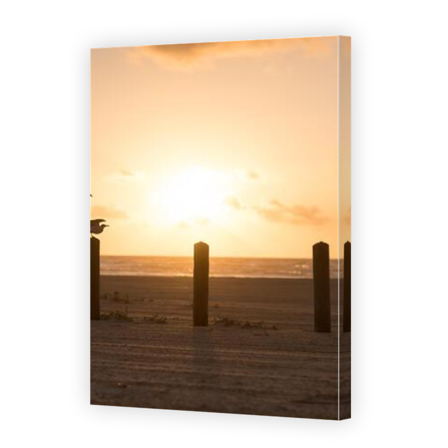 Thumbnail for Canvas - Mirror Image Canvas Wrap