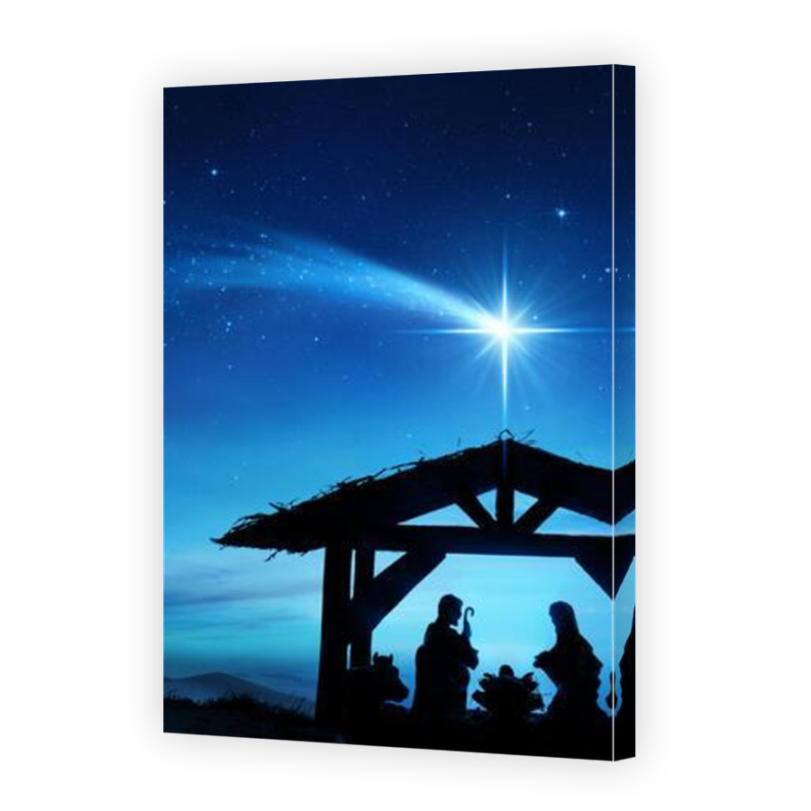 Thumbnail for Canvas - Mirror Image Canvas Wrap