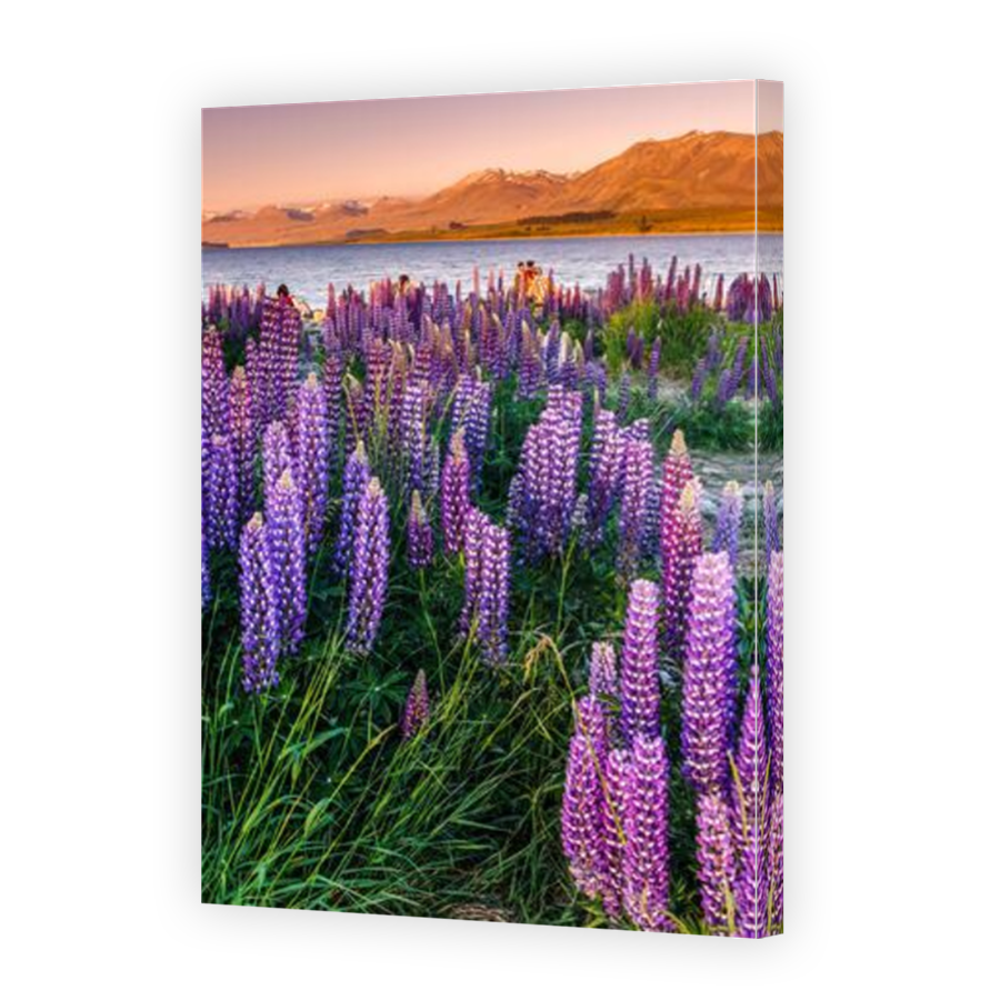 Thumbnail for Canvas - Mirror Image Canvas Wrap