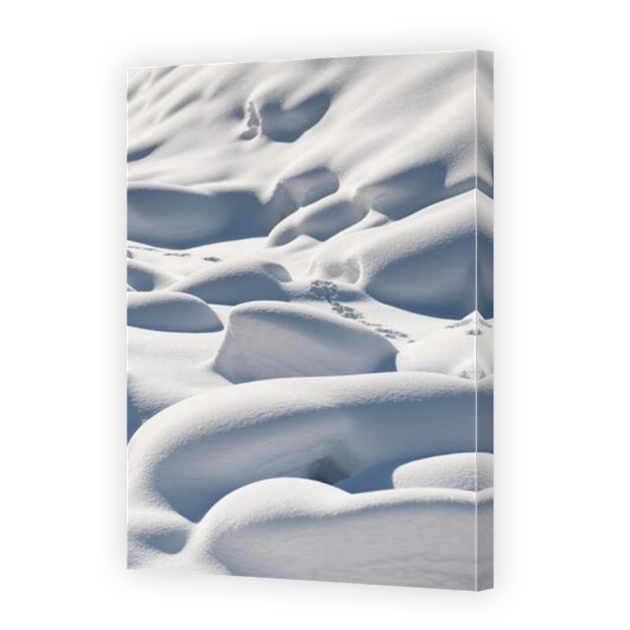 Thumbnail for Canvas - Mirror Image Canvas Wrap