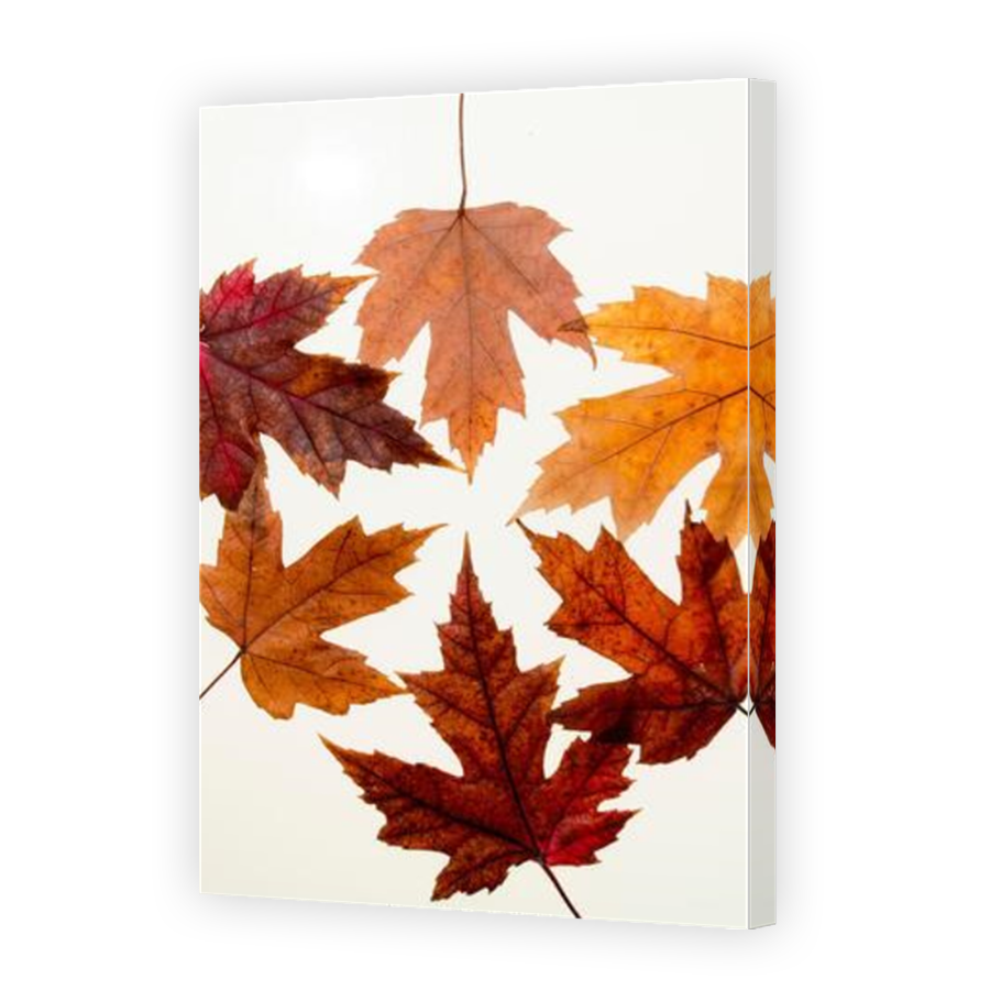 Thumbnail for Canvas - Mirror Image Canvas Wrap