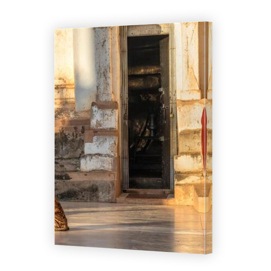 Thumbnail for Canvas - Mirror Image Canvas Wrap