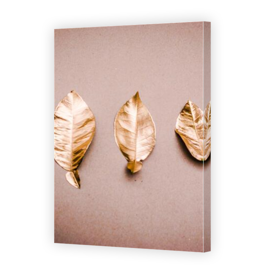 Thumbnail for Canvas - Mirror Image Canvas Wrap