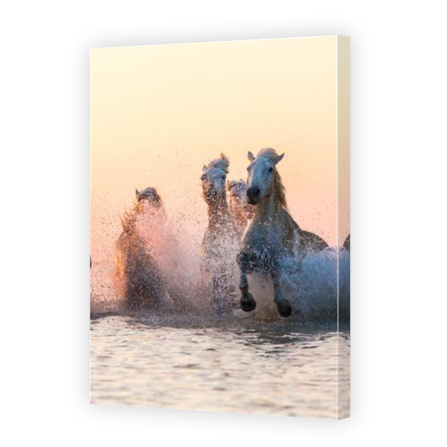 Thumbnail for Canvas - Mirror Image Canvas Wrap
