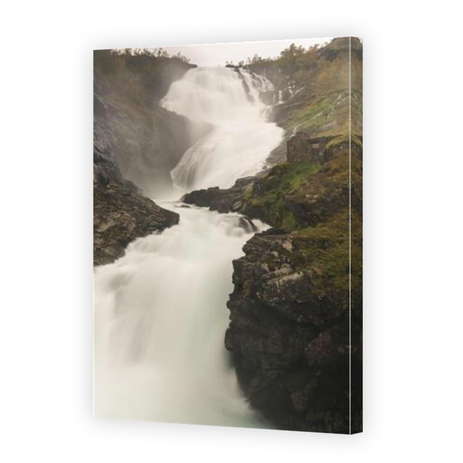 Thumbnail for Canvas - Mirror Image Canvas Wrap