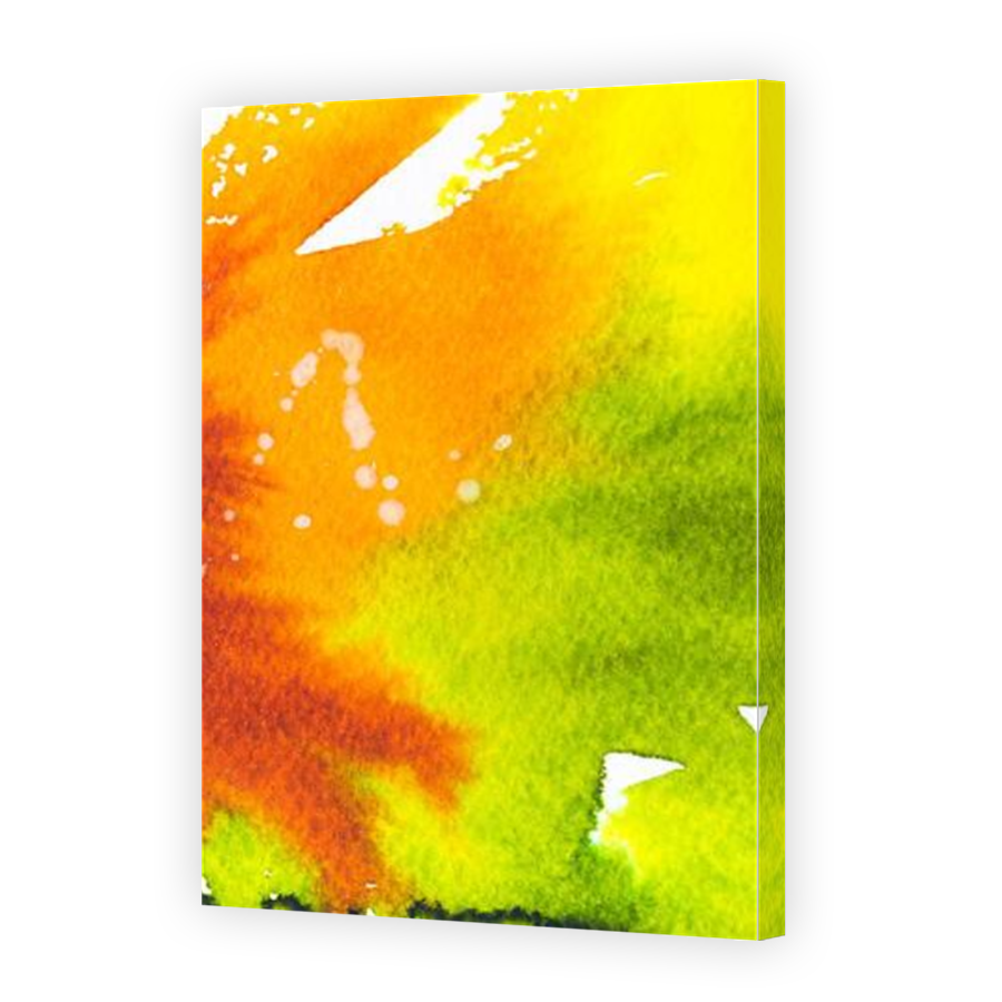 Thumbnail for Canvas - Mirror Image Canvas Wrap