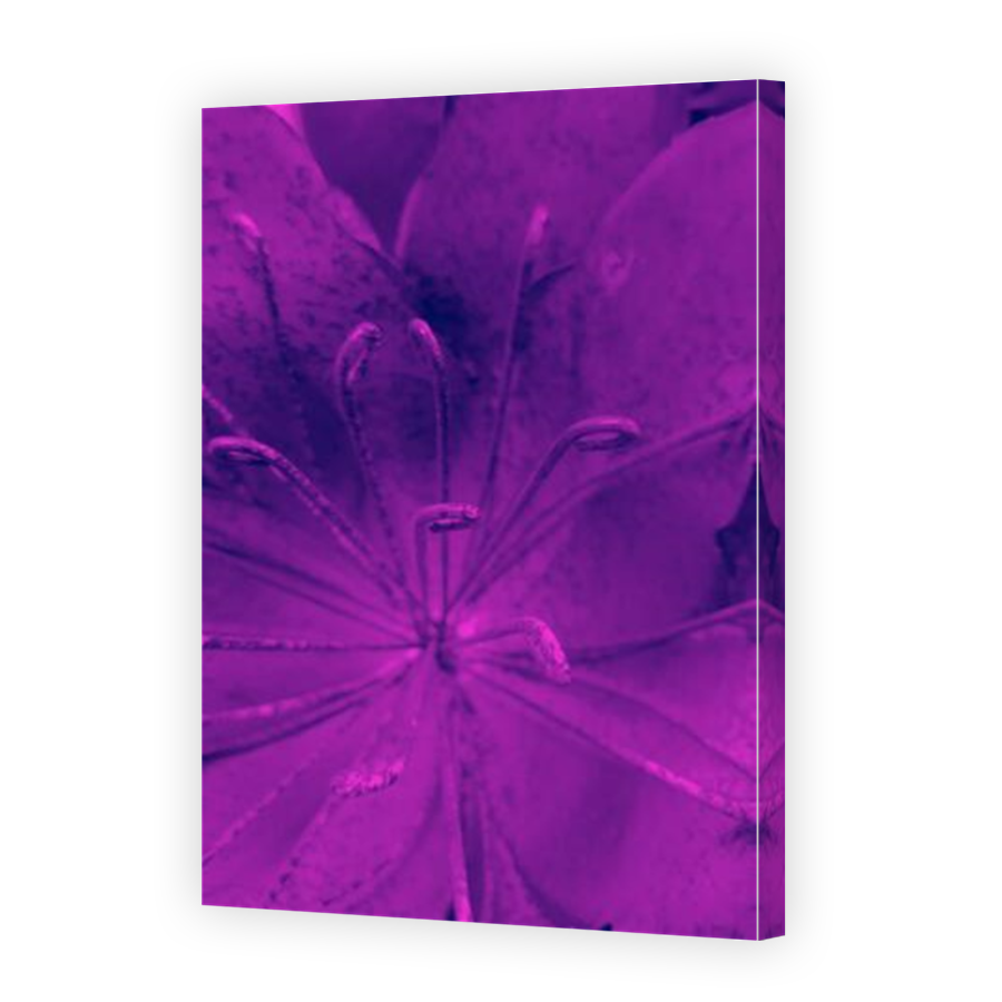 Thumbnail for Canvas - Mirror Image Canvas Wrap