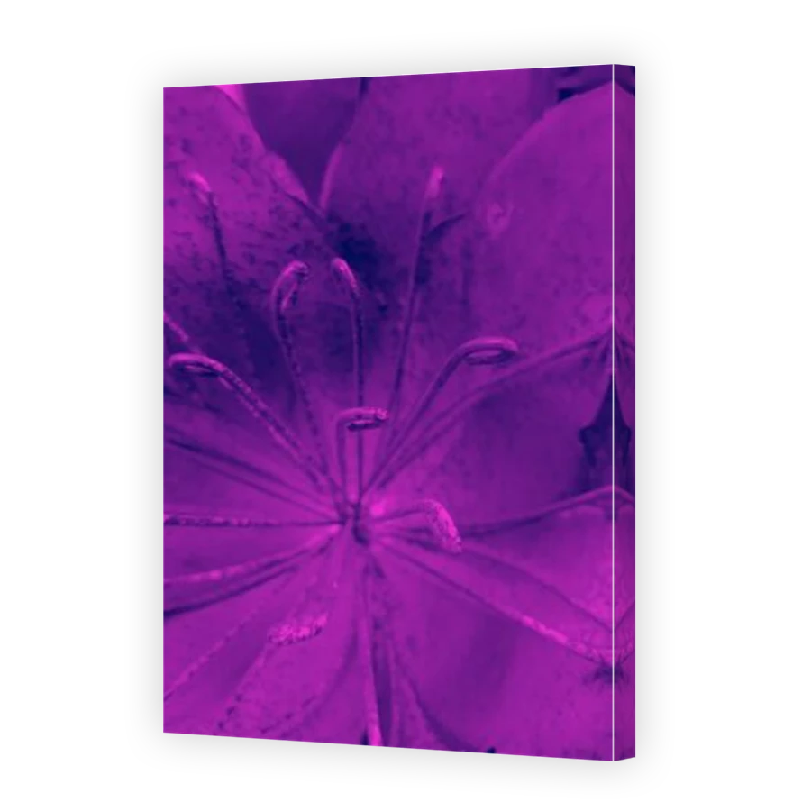 Thumbnail for Canvas - Mirror Image Canvas Wrap