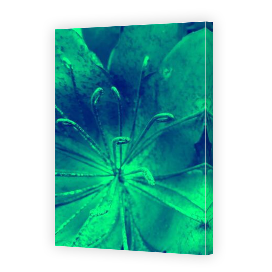 Thumbnail for Canvas - Mirror Image Canvas Wrap