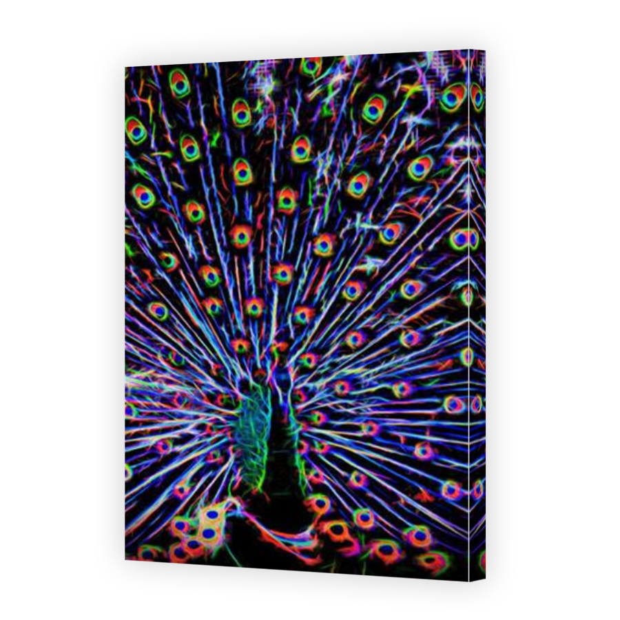 Thumbnail for Canvas - Mirror Image Canvas Wrap