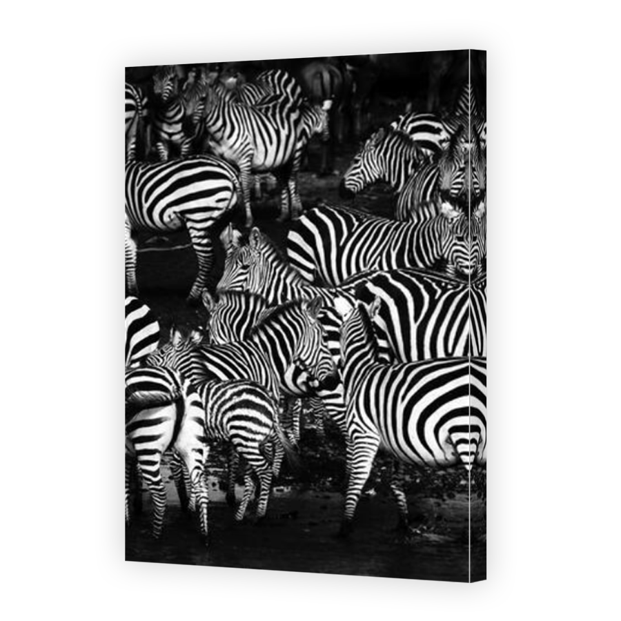 Thumbnail for Canvas - Mirror Image Canvas Wrap