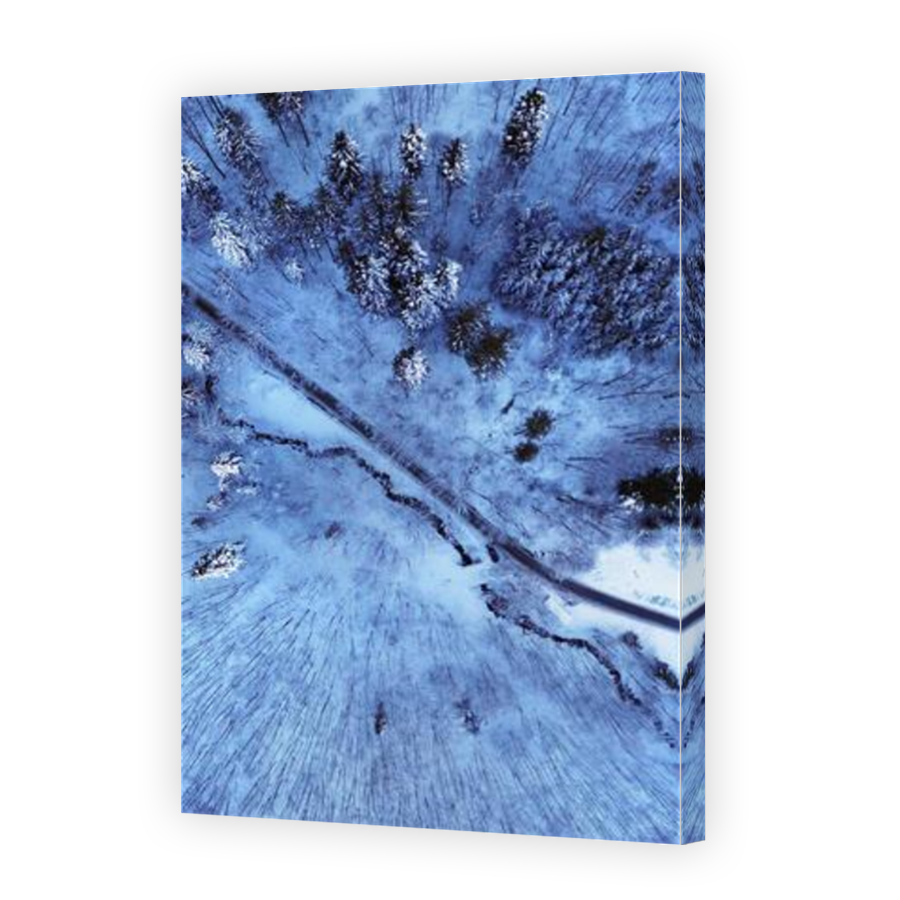 Thumbnail for Canvas - Mirror Image Canvas Wrap