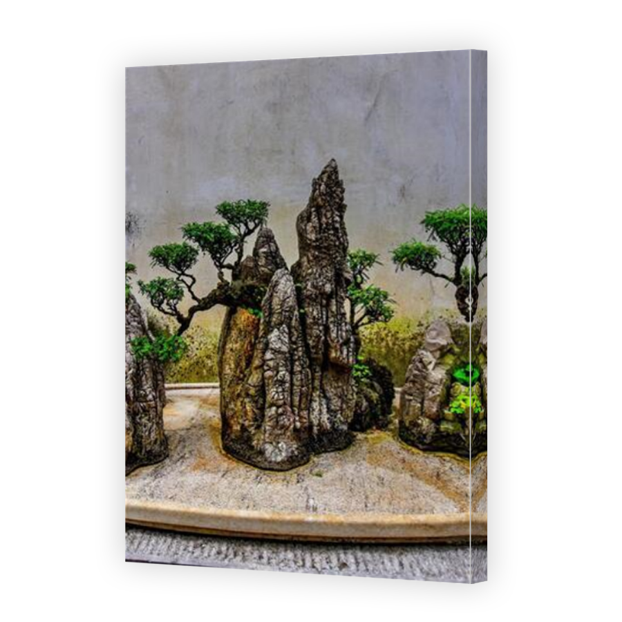 Thumbnail for Canvas - Mirror Image Canvas Wrap