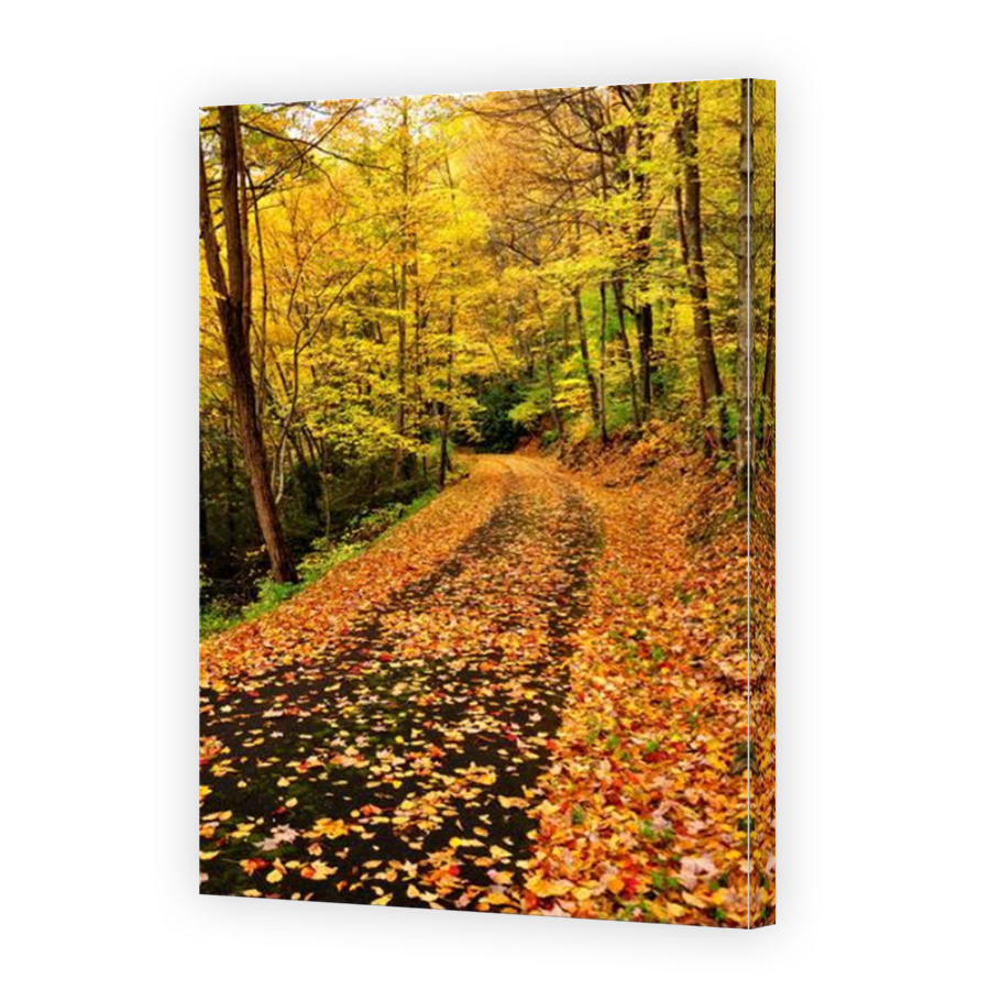 Thumbnail for Canvas - Mirror Image Canvas Wrap