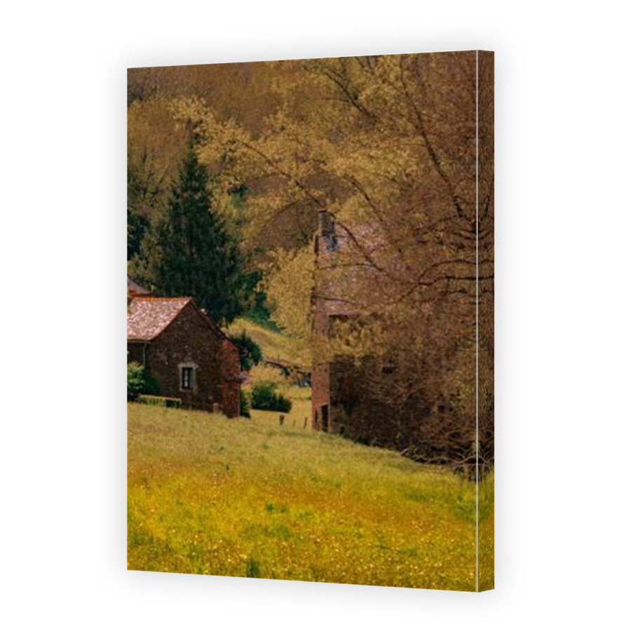 Thumbnail for Canvas - Mirror Image Canvas Wrap