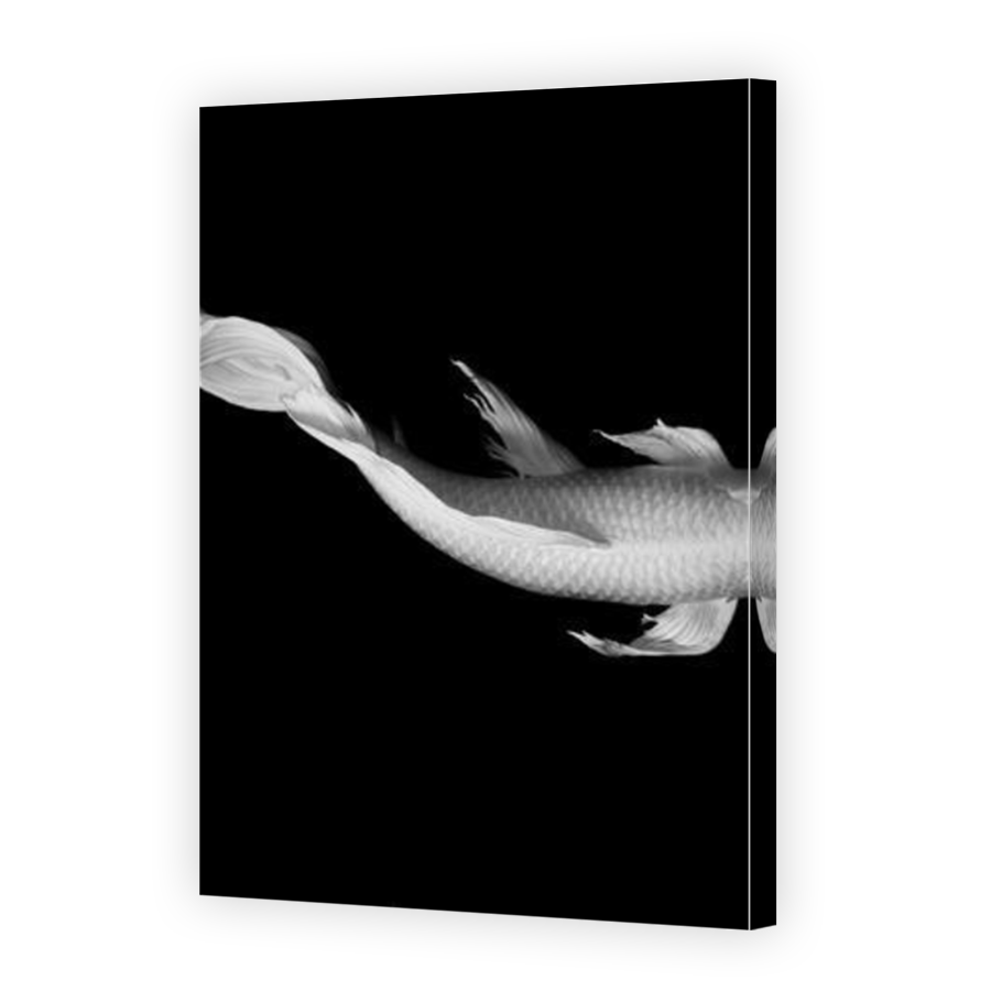 Thumbnail for Canvas - Mirror Image Canvas Wrap