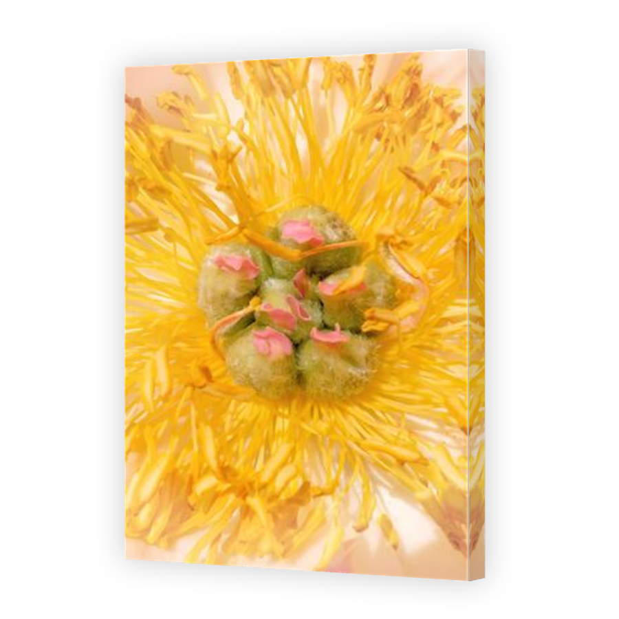 Thumbnail for Canvas - Mirror Image Canvas Wrap