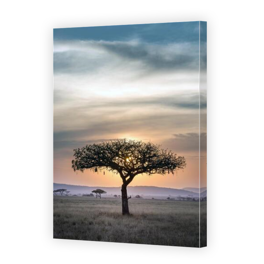 Thumbnail for Canvas - Mirror Image Canvas Wrap