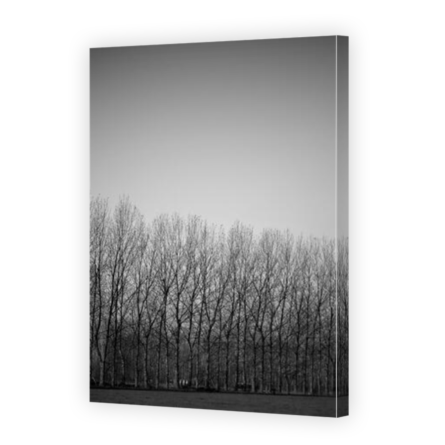 Thumbnail for Canvas - Mirror Image Canvas Wrap