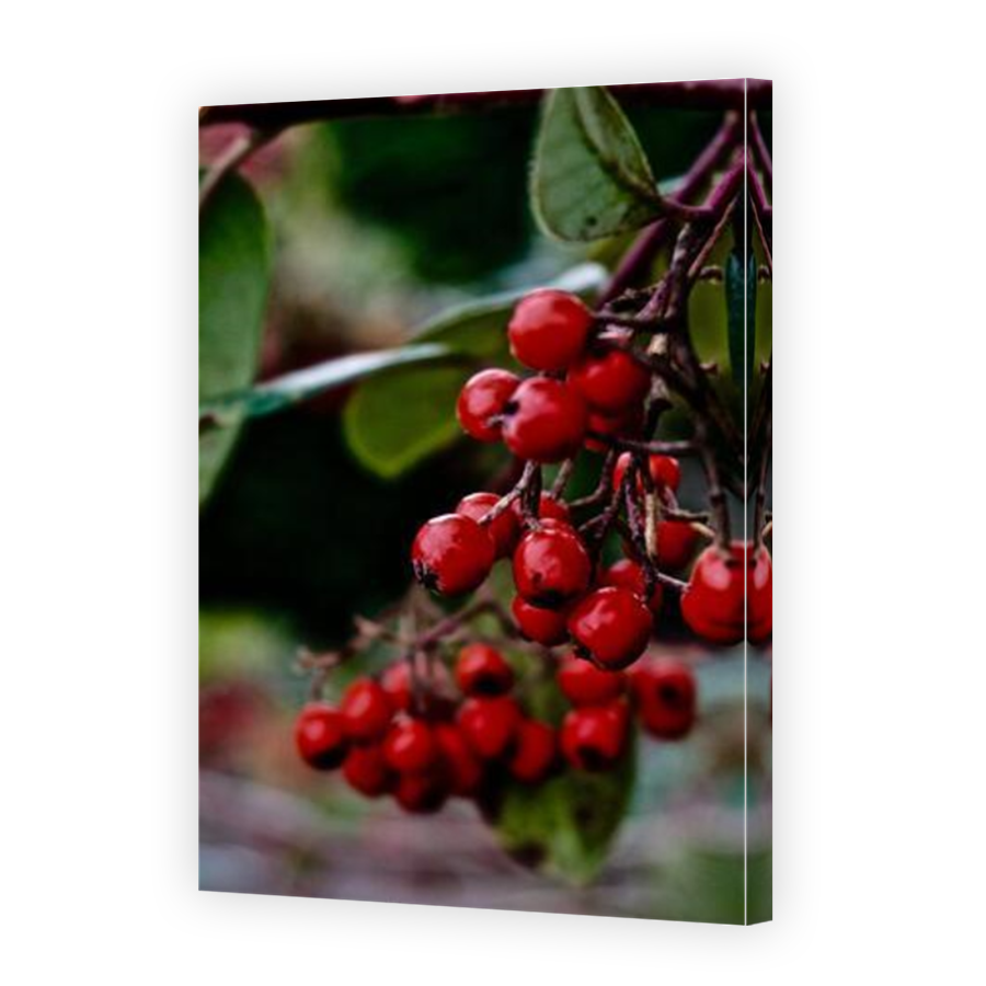 Thumbnail for Canvas - Mirror Image Canvas Wrap