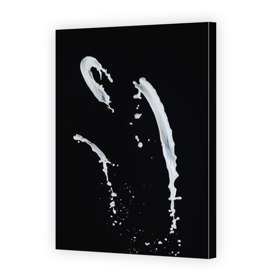 Thumbnail for Canvas - Mirror Image Canvas Wrap